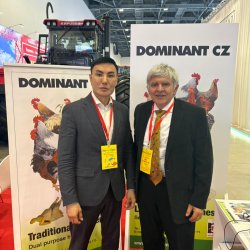 Изображение птицеводство