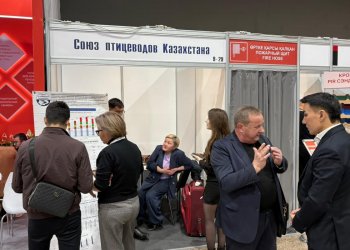 Изображение птицеводство