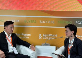 Изображение птицеводство