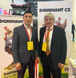 Изображение птицеводство