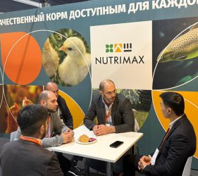 Изображение птицеводство