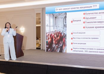 Изображение птицеводство