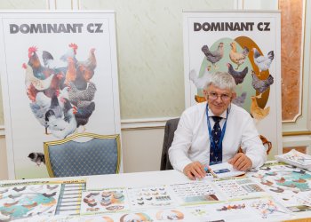 Изображение птицеводство