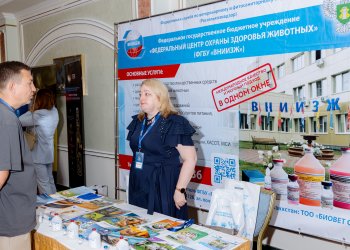 Изображение птицеводство
