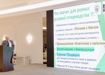 Изображение птицеводство