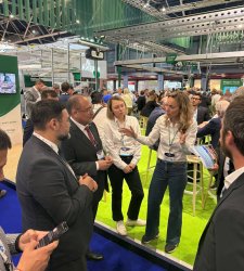 Изображение птицеводство