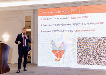 Изображение птицеводство