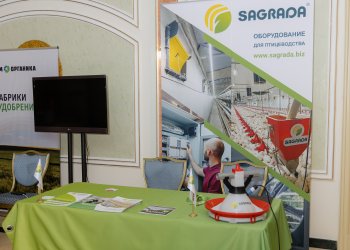 Изображение птицеводство